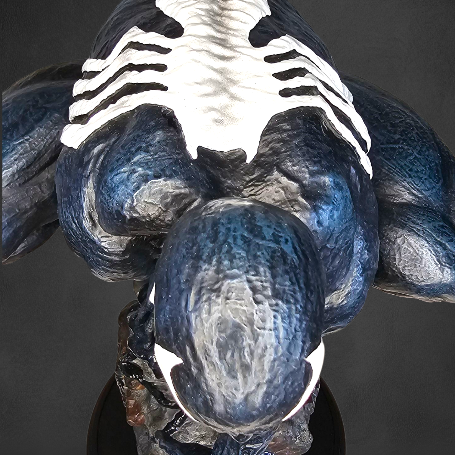 Spiderman and Symbiote - Additional Image 8